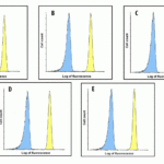 Flow cytometry analysis of B7-H3 in HEK293 cells using (A) RF16091, (B) RF16092, (C) RF16093, (D) RF16094, and (E) RF16095 at 1 μg/ml.  Blue:  isotype control on HEK293 cells.  Yellow:  B7-H3 mAb on HEK293 cells.