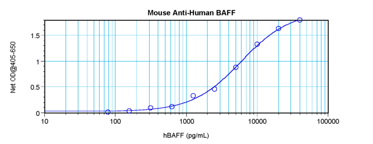BAFF Antibody [2B]