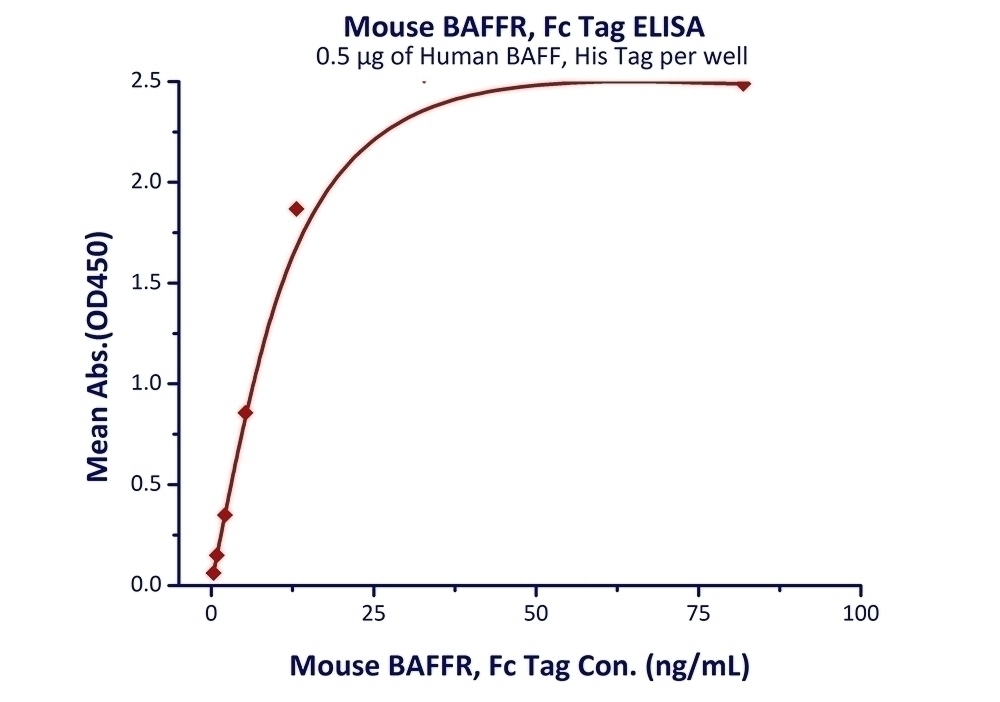 BAFFR Recombinant Protein