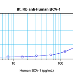 To detect hBCA-1 by sandwich ELISA (using 100 ul/well antibody solution) a concentration of 0.25 – 1.0 ug/ml of this antibody is required. This biotinylated polyclonal antibody, in conjunction with ProSci’s Polyclonal Anti-Human BCA-1 (XP-5106) as a capture antibody, allows the detection of at least 0.2 – 0.4 ng/well of recombinant hBCA-1.