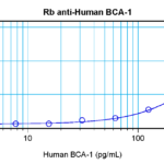 To detect hBCA-1 by sandwich ELISA (using 100 ul/well antibody solution) a concentration of 0.5 - 2.0 ug/ml of this antibody is required. This antigen affinity purified antibody, in conjunction with ProSci’s Biotinylated Anti-Human BCA-1 (XP-5106Bt) as a detection antibody, allows the detection of at least 0.2 - 0.4 ng/well of recombinant hBCA-1.