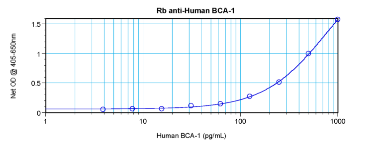 BCA-1 Antibody