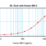 To detect hBD-2 by sandwich ELISA (using 100 ul/well antibody solution) a concentration of 0.25 – 1.0 ug/ml of this antibody is required. This biotinylated polyclonal antibody, in conjunction with ProSci’s Polyclonal Anti-Human BD-2 (XP-5107) as a capture antibody, allows the detection of at least 0.2 – 0.4 ng/well of recombinant hBD-2.