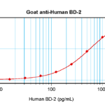 To detect hBD-2 by sandwich ELISA (using 100 ul/well antibody solution) a concentration of 0.5 - 2.0 ug/ml of this antibody is required. This antigen affinity purified antibody, in conjunction with ProSci’s Biotinylated Anti-Human BD-2 (XP-5107Bt) as a detection antibody, allows the detection of at least 0.2 - 0.4 ng/well of recombinant hBD-2.