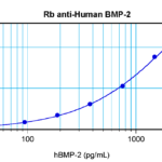 To detect hBMP-2 by sandwich ELISA (using 100 ul/well antibody solution) a concentration of 0.5 - 2.0 ug/ml of this antibody is required. This antigen affinity purified antibody, in conjunction with ProSci’s Biotinylated Anti-Human BMP-2 (XP-5111Bt) as a detection antibody, allows the detection of at least 0.2 - 0.4 ng/well of recombinant hBMP-2.