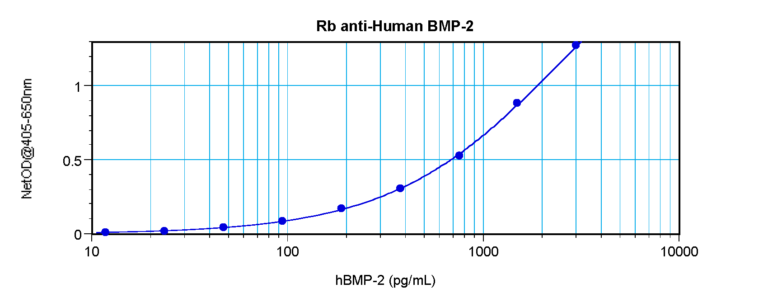 BMP-2 Antibody