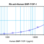 To detect hBMP-7 by sandwich ELISA (using 100 ul/well antibody solution) a concentration of 0.5 - 2.0 ug/ml of this antibody is required. This antigen affinity purified antibody, in conjunction with ProSci’s Biotinylated Anti-Human BMP-7 (38-136) as a detection antibody, allows the detection of at least 0.2 - 0.4 ng/well of recombinant hBMP-7.