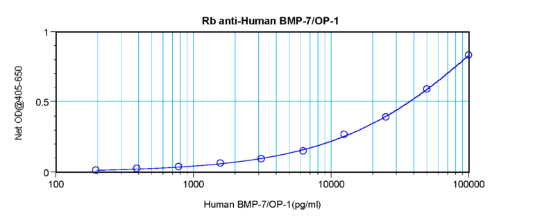 BMP-7 Antibody