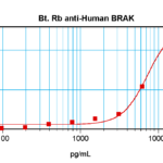 To detect hBRAK by sandwich ELISA (using 100 ul/well antibody solution) a concentration of 0.25 – 1.0 ug/ml of this antibody is required. This biotinylated polyclonal antibody, in conjunction with ProSci’s Polyclonal Anti-Human BRAK (38-158) as a capture antibody, allows the detection of at least 0.2 – 0.4 ng/well of recombinant hBRAK.