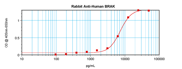 BRAK Antibody
