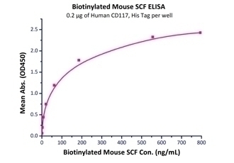 CD117 Recombinant Protein