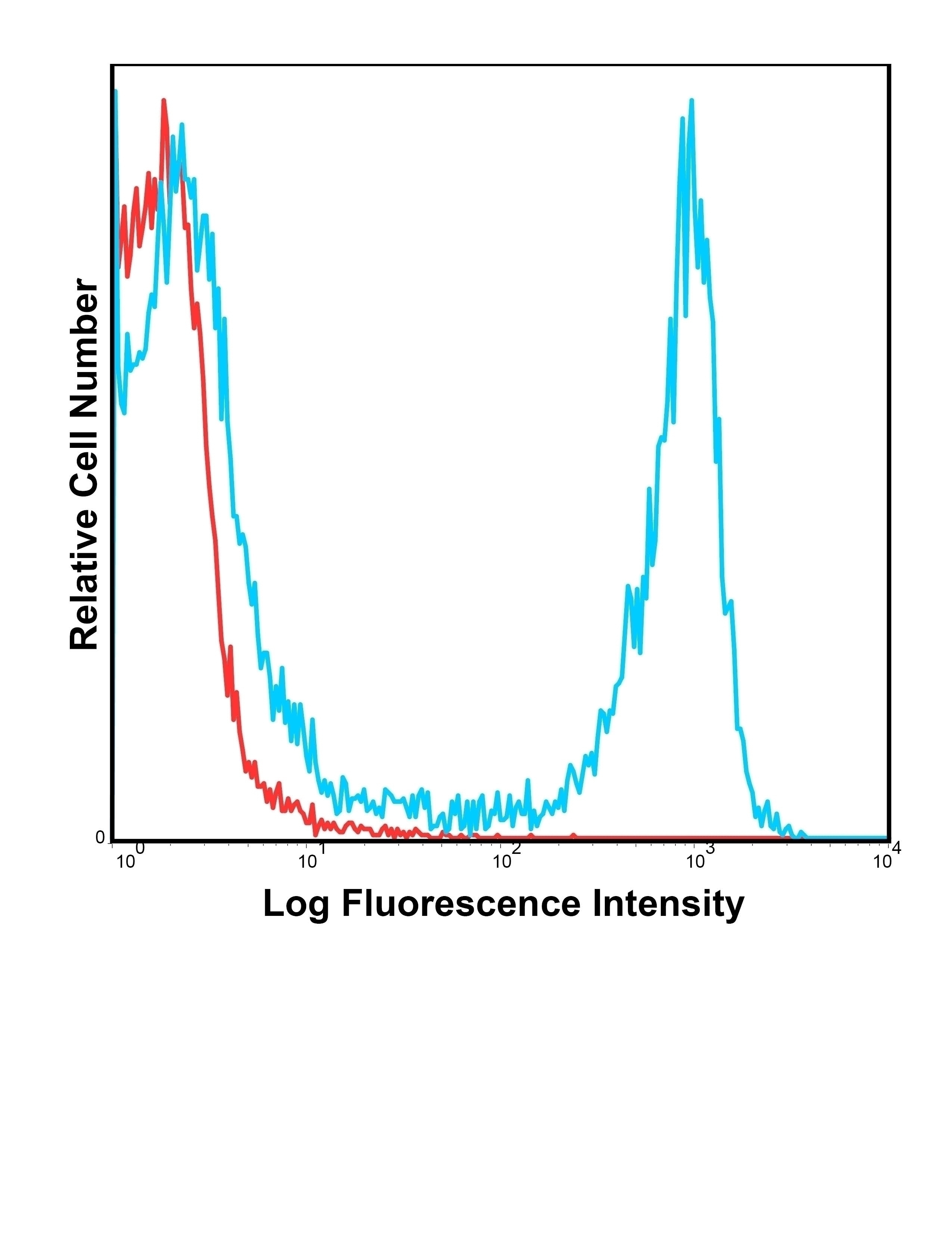 CD11b Antibody [M1/70] (PE-Cy5)