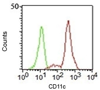 CD11c Antibody [HC1/1]