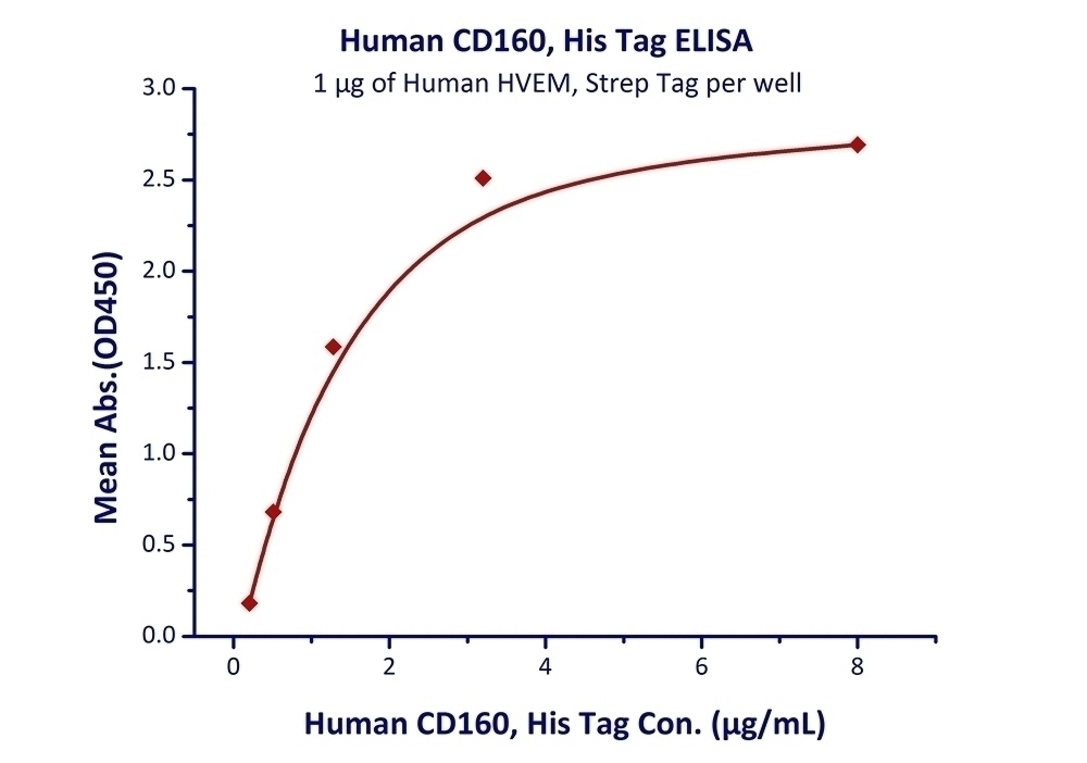 CD160 Recombinant Protein
