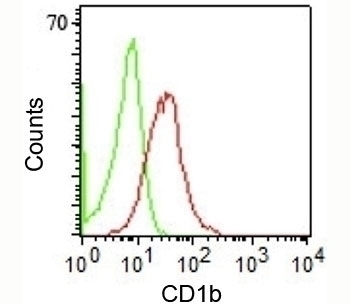 CD1b Antibody [RIV12]