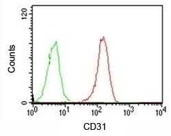 CD31 Antibody [PCM25-1]