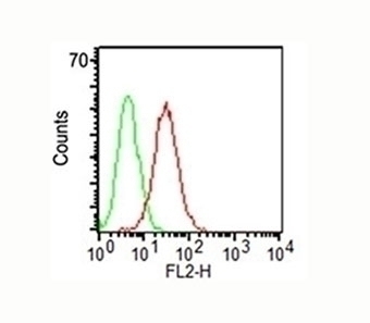 CD34 Antibody [ICO-115]