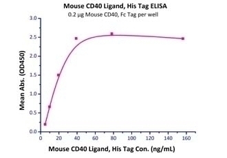 CD40 Ligand Recombinant Protein