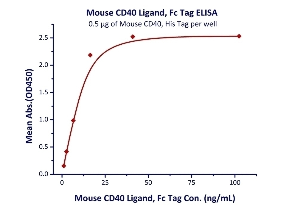 CD40 Ligand Recombinant Protein
