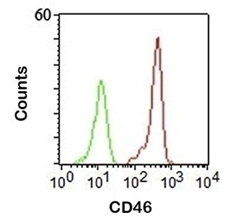 CD46 Antibody [122.2]