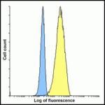 Flow cytometry analysis of CD80 overexpressing HEK293 cells using CD80 antibody and control mouse IgG antibody at 10 μg/ml. Blue: Untransfected HEK293 cells. Yellow: CD80 overexpressing HEK293 cells.