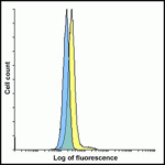 Flow cytometry analysis of CD80 overexpressing HEK293 cells using CD80 antibody and control mouse IgG antibody at 10 μg/ml. Blue: Untransfected HEK293 cells. Yellow: CD80 overexpressing HEK293 cells.