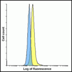 Flow cytometry analysis of CD80 overexpressing HEK293 cells using CD80 antibody and control mouse IgG antibody at 10 μg/ml. Blue: Untransfected HEK293 cells. Yellow: CD80 overexpressing HEK293 cells.