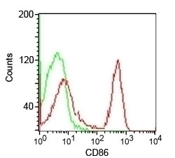 CD86 Antibody [CDLA86]