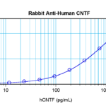To detect hCNTF by sandwich ELISA (using 100 ul/well antibody solution) a concentration of 0.5 - 2.0 ug/ml of this antibody is required. This antigen affinity purified antibody, in conjunction with ProSci’s Biotinylated Anti-Human CNTF (XP-5115Bt) as a detection antibody, allows the detection of at least 0.2 - 0.4 ng/well of recombinant hCNTF.