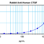 To detect hCTGF by sandwich ELISA, using 100 ul/well antibody solution, a concentration of 0.5 - 2.0 ug/ml of this antibody is required. This antigen affinity purified antibody, in conjunction with ProSci’s Biotinylated Anti-Human CTGF, 38-105, as a detection antibody, allows the detection of at least 0.2 - 0.4 ng/well of recombinant hCTGF.
