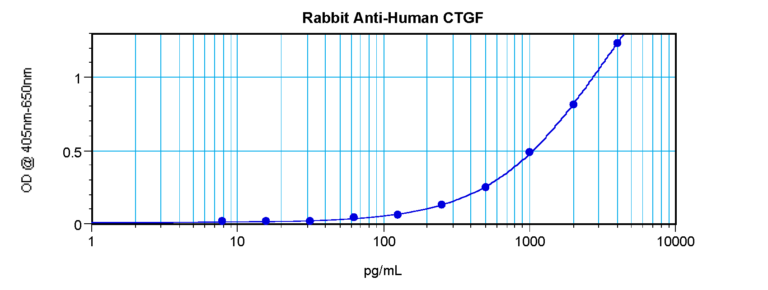 CTGF Antibody
