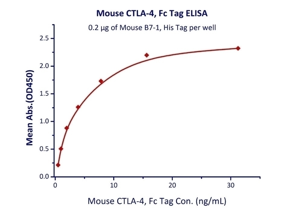 CTLA-4 Recombinant Protein