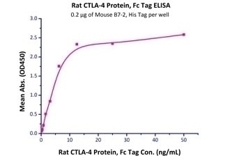 CTLA-4 Recombinant Protein