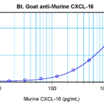 To detect mCXCL16 by sandwich ELISA (using 100 ul/well antibody solution) a concentration of 0.25 – 1.0 ug/ml of this antibody is required. This biotinylated polyclonal antibody, in conjunction with ProSci’s Polyclonal Anti-Murine CXCL16 (XP-5118) as a capture antibody, allows the detection of at least 0.2 – 0.4 ng/well of recombinant mCXCL16.