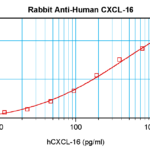 To detect hCXCL16 by sandwich ELISA (using 100 ul/well antibody solution) a concentration of 0.5 - 2.0 ug/ml of this antibody is required. This antigen affinity purified antibody, in conjunction with ProSci’s Biotinylated Anti-Human CXCL16 (XP-5117Bt) as a detection antibody, allows the detection of at least 0.2 - 0.4 ng/well of recombinant hCXCL16.