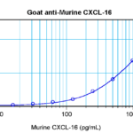 To detect mCXCL16 by sandwich ELISA (using 100 ul/well antibody solution) a concentration of 0.5 - 2.0 ug/ml of this antibody is required. This antigen affinity purified antibody, in conjunction with ProSci’s Biotinylated Anti-Murine CXCL16 (XP-5118Bt) as a detection antibody, allows the detection of at least 0.2 - 0.4 ng/well of recombinant mCXCL16.