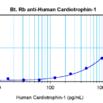 To detect hCardiotrophin-1 by sandwich ELISA (using 100 ul/well antibody solution) a concentration of 0.25 – 1.0 ug/ml of this antibody is required. This biotinylated polyclonal antibody, in conjunction with ProSci’s Polyclonal Anti-Human Cardiotrophin-1(XP-5113) as a capture antibody, allows the detection of at least 0.2 – 0.4 ng/well of recombinant hCardiotrophin-1.