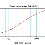 To detect hEG-VEGF by sandwich ELISA (using 100 ul/well antibody solution) a concentration of 0.5 - 2.0 ug/ml of this antibody is required. This antigen affinity purified antibody, in conjunction with ProSci’s Biotinylated Anti-Human EG-VEGF (XP-5121Bt) as a detection antibody, allows the detection of at least 0.2 - 0.4 ng/well of recombinant hEG-VEGF.