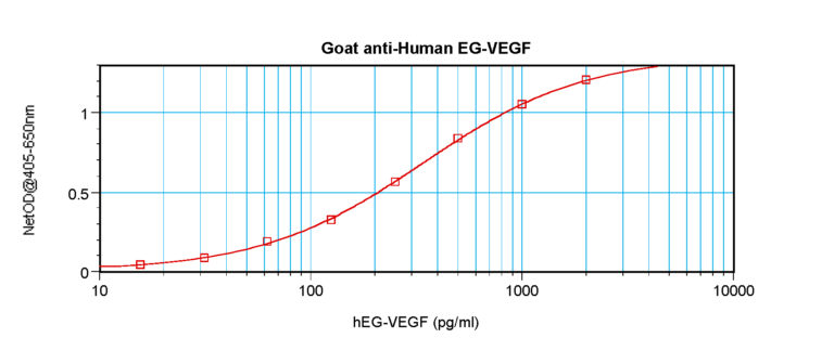 EG-VEGF Antibody