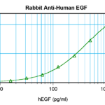 To detect hEGF by sandwich ELISA (using 100 ul/well antibody solution) a concentration of 0.5 - 2.0 ug/ml of this antibody is required. This antigen affinity purified antibody, in conjunction with ProSci’s Biotinylated Anti-Human EGF (XP-5119Bt) as a detection antibody, allows the detection of at least 0.2 - 0.4 ng/well of recombinant hEGF.