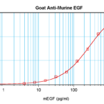 To detect mEGF by sandwich ELISA (using 100 ul/well antibody solution) a concentration of 0.5 - 2.0 ug/ml of this antibody is required. This antigen affinity purified antibody, in conjunction with ProSci’s Biotinylated Anti-Murine EGF (XP-5120Bt) as a detection antibody, allows the detection of at least 0.2 - 0.4 ng/well of recombinant mEGF.
