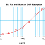To detect Human EGF Receptor by sandwich ELISA (using 100 ul/well antibody solution) a concentration of 0.25 – 1.0 ug/ml of this antibody is required. This biotinylated polyclonal antibody, in conjunction with ProSci’s Polyclonal Anti-Human EGF Receptor (38-264) as a capture antibody, allows the detection of at least 0.2 – 0.4 ng/well of recombinant Human EGF Receptor.