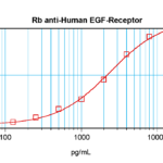 To detect Human EGF Receptor by sandwich ELISA (using 100ul/well antibody solution) a concentration of 0.5 - 2.0 ug/ml of this antibody is required. This antigen affinity purified antibody, in conjunction with ProSci’s Biotinylated Anti-Human EGF Receptor (38-275) as a detection antibody, allows the detection of at least 0.2 - 0.4 ng/well of recombinant Human EGF Receptor.
