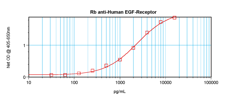 EGF Receptor Antibody
