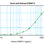 To detect hEMAP-II by sandwich ELISA (using 100 ul/well antibody solution) a concentration of 0.5 - 2.0 ug/ml of this antibody is required. This antigen affinity purified antibody, in conjunction with ProSci’s Biotinylated Anti-Human EMAP-II (XP-5122Bt) as a detection antibody, allows the detection of at least 0.2 - 0.4 ng/well of recombinant hEMAP-II.