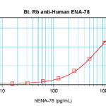To detect hENA-78 by sandwich ELISA (using 100 ul/well antibody solution) a concentration of 0.25 – 1.0 ug/ml of this antibody is required. This biotinylated polyclonal antibody, in conjunction with ProSci’s Polyclonal Anti-Human ENA-78 (XP-5123) as a capture antibody, allows the detection of at least 0.2 – 0.4 ng/well of recombinant hENA-78.