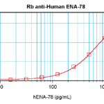 To detect hENA-78 by sandwich ELISA (using 100 ul/well antibody solution) a concentration of 0.5 - 2.0 ug/ml of this antibody is required. This antigen affinity purified antibody, in conjunction with ProSci’s Biotinylated Anti-Human ENA-78 (XP-5123Bt) as a detection antibody, allows the detection of at least 0.2 - 0.4 ng/well of recombinant hENA-78.