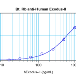 To detect hExodus-2 by sandwich ELISA (using 100 ul/well antibody solution) a concentration of 0.25 – 1.0 ug/ml of this antibody is required. This biotinylated polyclonal antibody, in conjunction with ProSci’s Polyclonal Anti-Human Exodus-2 (XP-5128) as a capture antibody, allows the detection of at least 0.2 – 0.4 ng/well of recombinant hExodus-2.