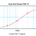 To detect hFGF-17 by sandwich ELISA (using 100 ul/well antibody solution) a concentration of 0.5 - 2.0 ug/ml of this antibody is required. This antigen affinity purified antibody, in conjunction with ProSci’s Biotinylated Anti-Human FGF-17 (38-295) as a detection antibody, allows the detection of at least 0.2 - 0.4 ng/well of recombinant hFGF-17.