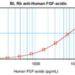 To detect hFGF-acidic by sandwich ELISA (using 100 ul/well antibody solution) a concentration of 0.25 – 1.0 ug/ml of this antibody is required. This biotinylated polyclonal antibody, in conjunction with ProSci’s Polyclonal Anti-Human FGF-acidic (XP-5136) as a capture antibody, allows the detection of at least 0.2 – 0.4 ng/well of recombinant hFGF-acidic.